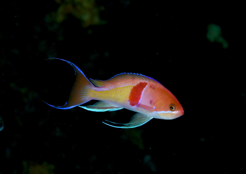 dsc_4014.jpg