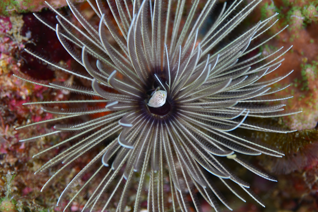 dsc_8389.jpg